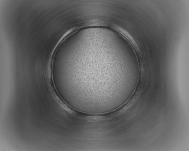 X0000112921236200908311251