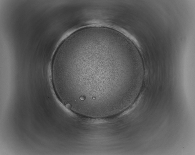 X0000112921239200908311251