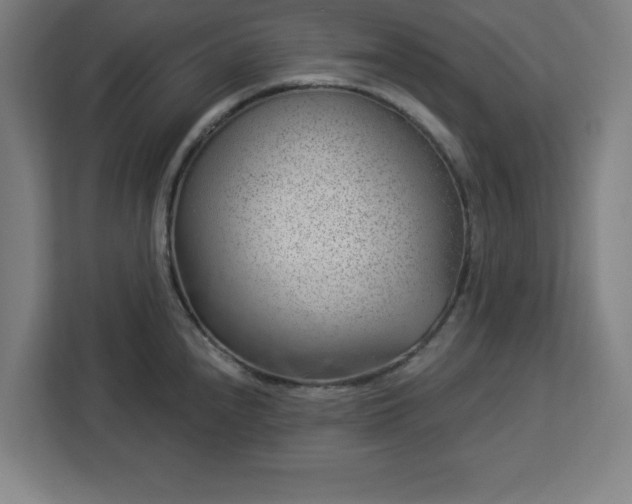 X0000112921240200908311251