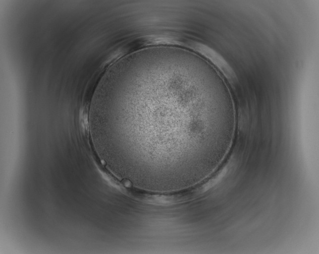 X0000112921241200908311251