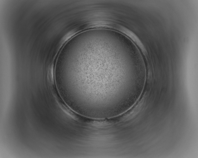 X0000112921242200908311251