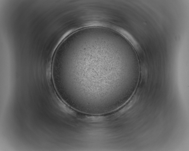 X0000112921244200908311251