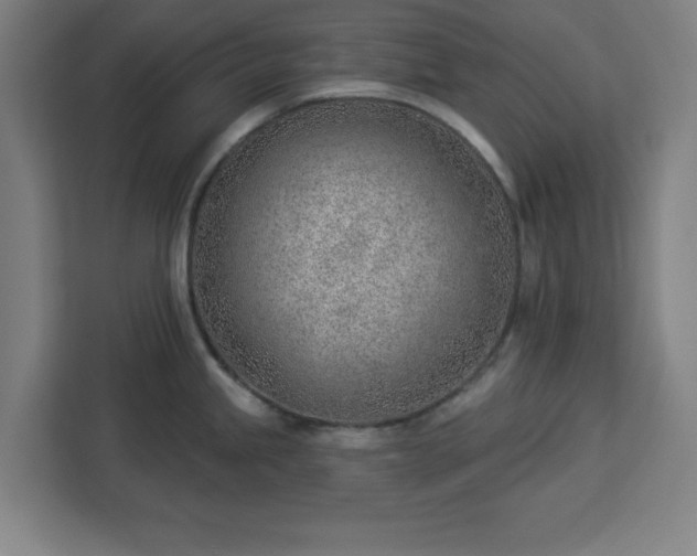 X0000112921245200908311251