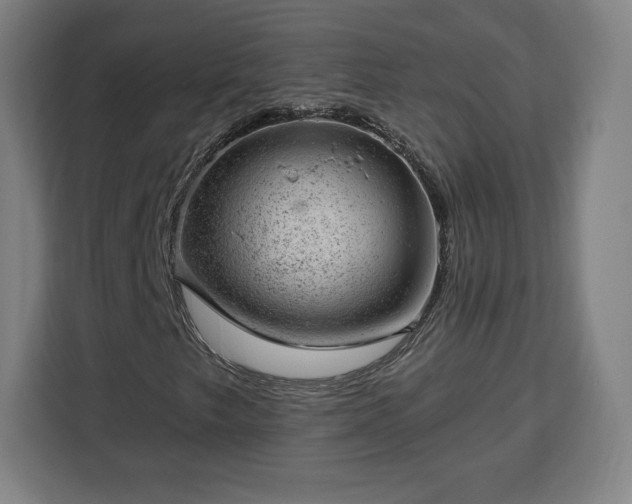 X0000112921249200908311250