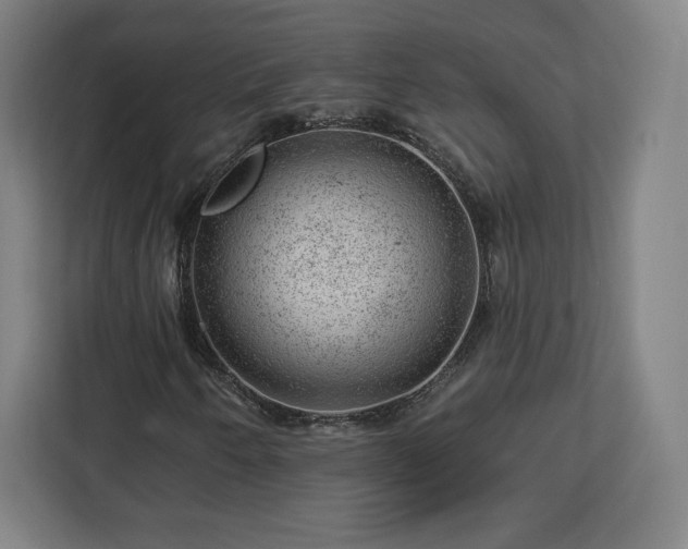 X0000112921250200908311250