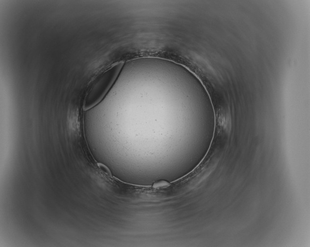 X0000112921252200908311250