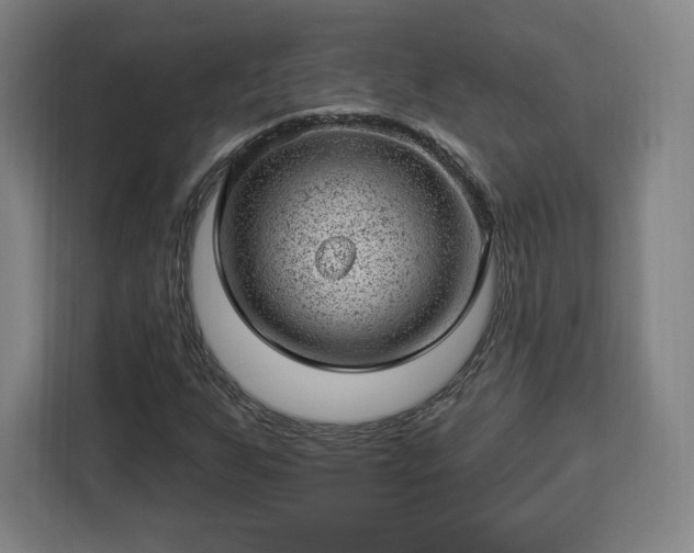 X0000112921255200908311250