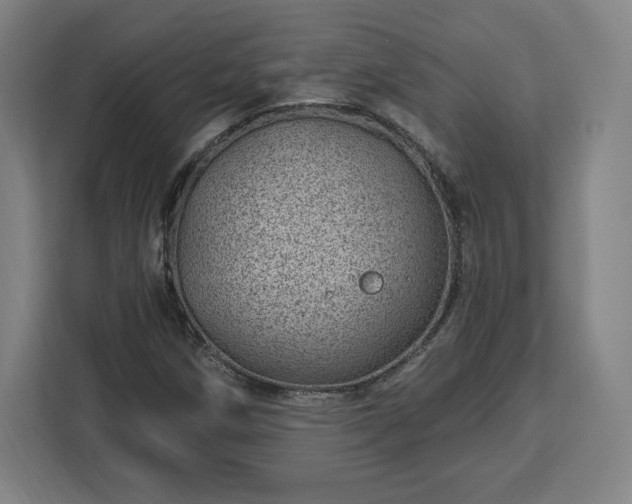 X0000112921258200908311250