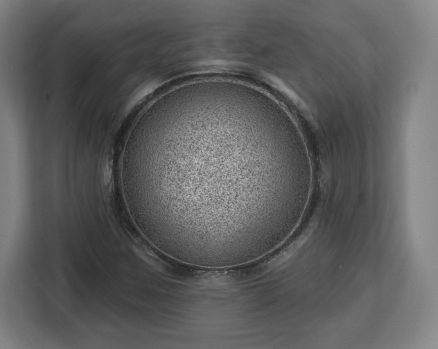 X0000112921259200908311250