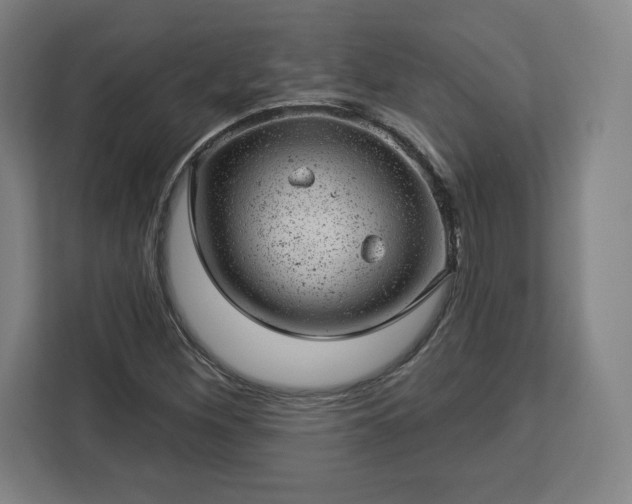 X0000112921260200908311250