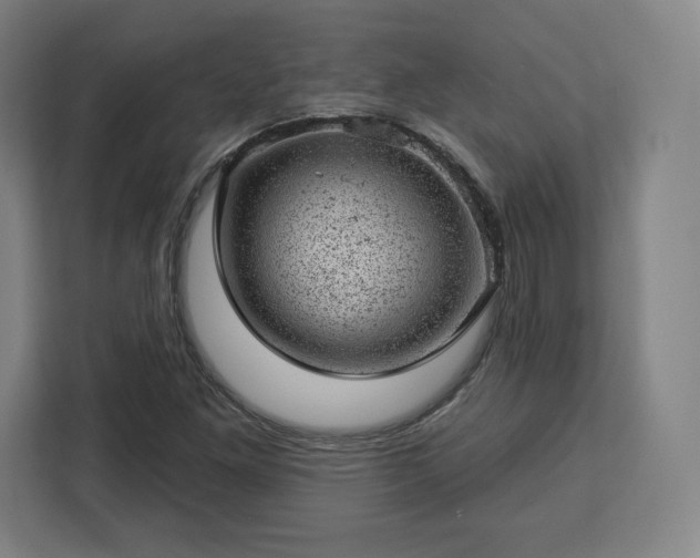 X0000112921261200908311250