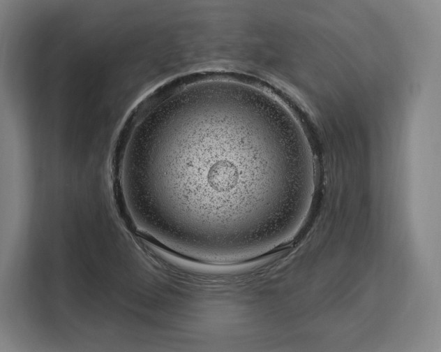 X0000112921264200908311250