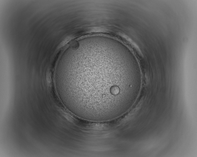X0000112921266200908311250