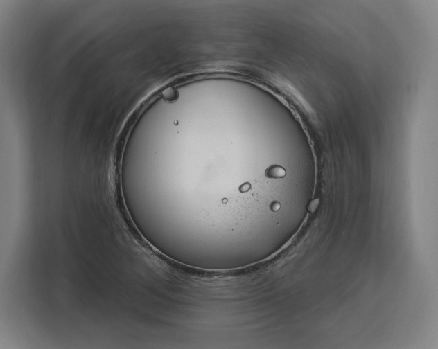 X0000112921268200908311250