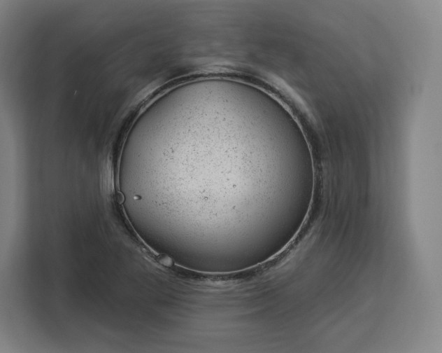 X0000112921269200908311250