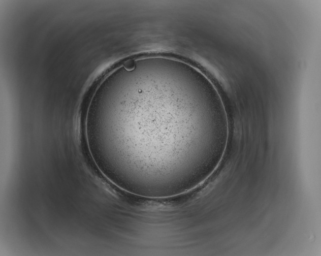 X0000112921270200908311250