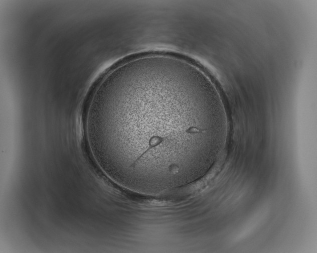 X0000112921271200908311250