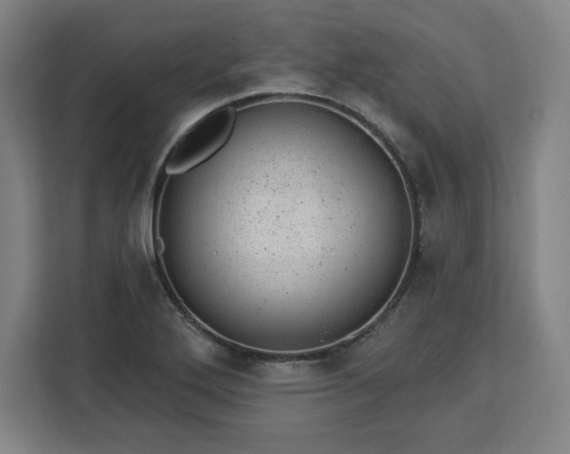X0000112921272200908311250