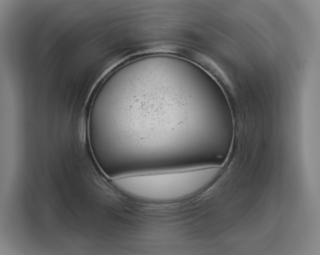 X0000112921276200908311250