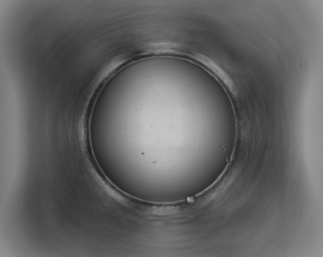 X0000112921285200908311250