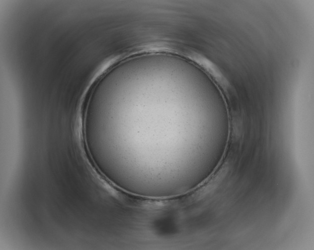X0000112921286200908311250