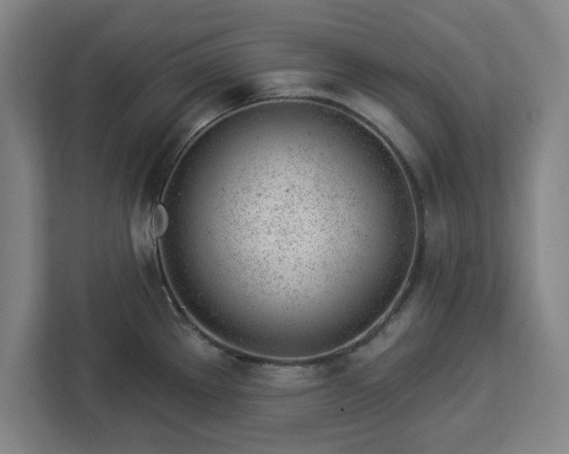X0000112921289200908311250