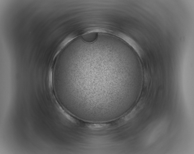 X0000112921290200908311250