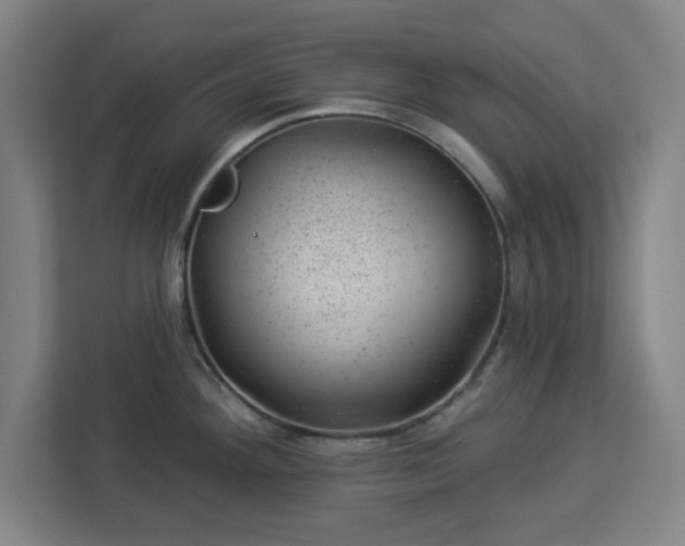 X0000112921292200908311250