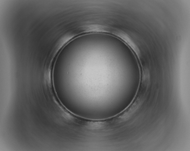 X0000112921293200908311250