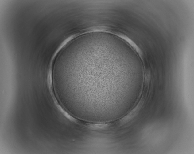X0000112921294200908311250