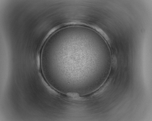 X0000112921295200908311249