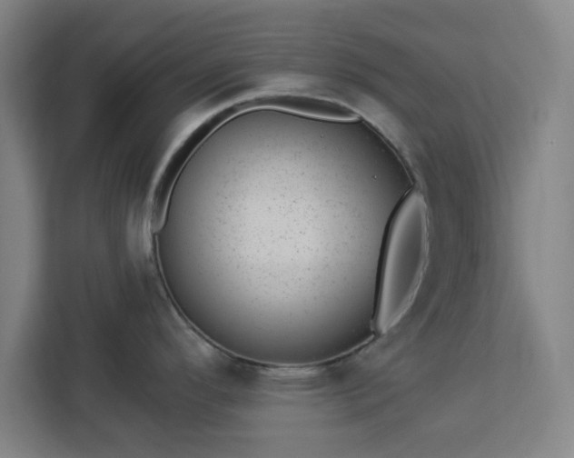 X0000112921296200908311249
