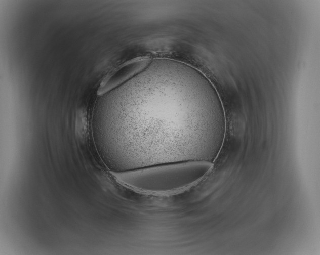 X0000112921298200908311249