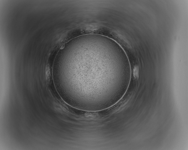 X0000112921299200908311249