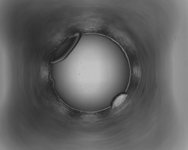 X0000112921300200908311249