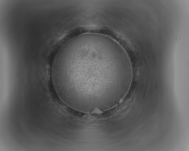 X0000112921301200908311249