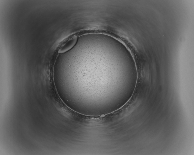 X0000112921304200908311249