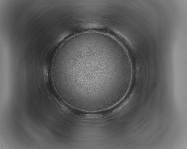 X0000112921305200908311249