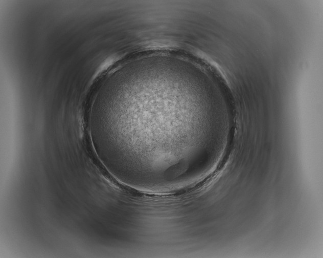 X0000112921306200908311249