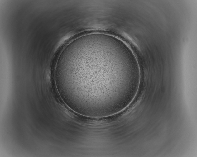 X0000112921307200908311249