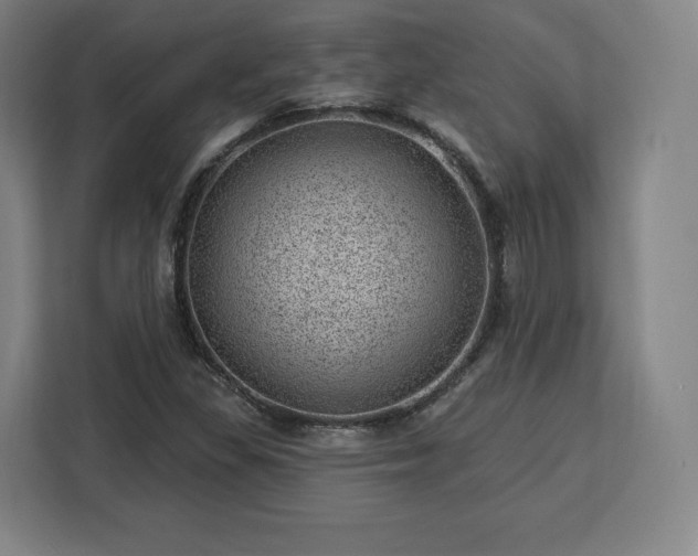 X0000112921309200908311249