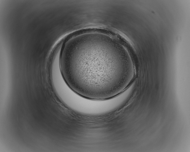X0000112921310200908311249
