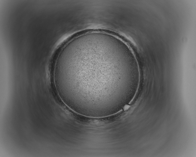 X0000112921311200908311249