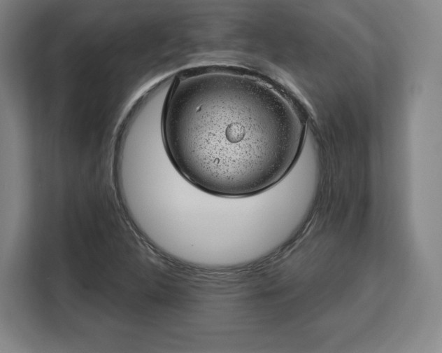 X0000112921312200908311249