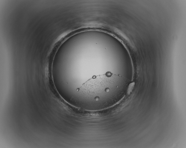 X0000112921315200908311249