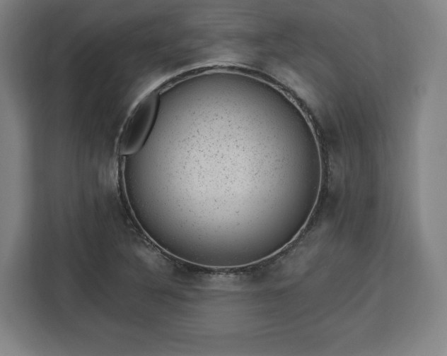 X0000112921316200908311249