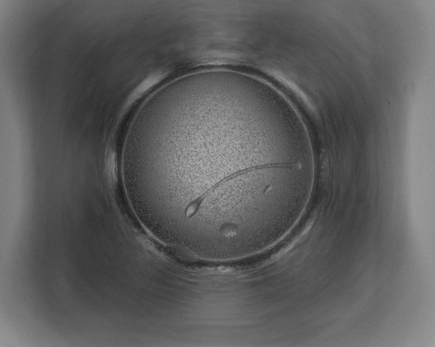 X0000112921317200908311249
