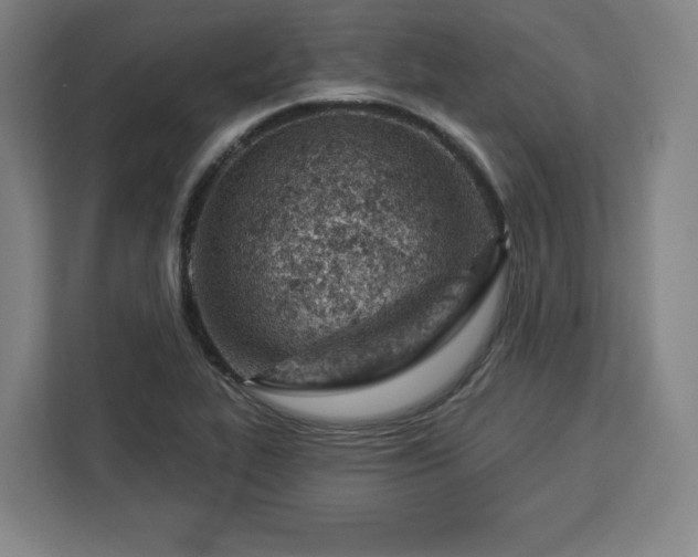 X0000112921319200908311249