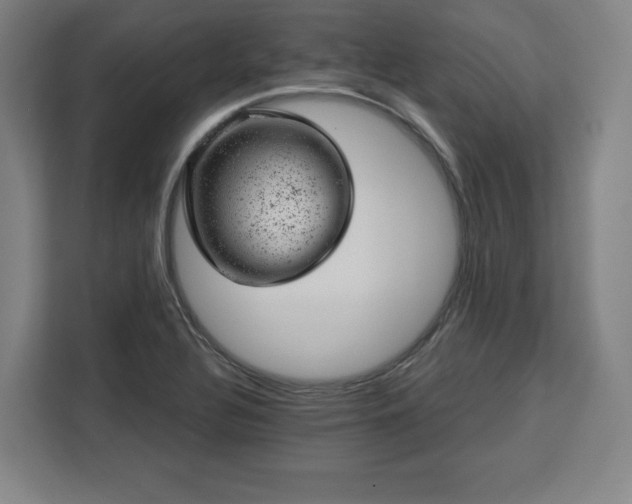 X0000112921320200908311249