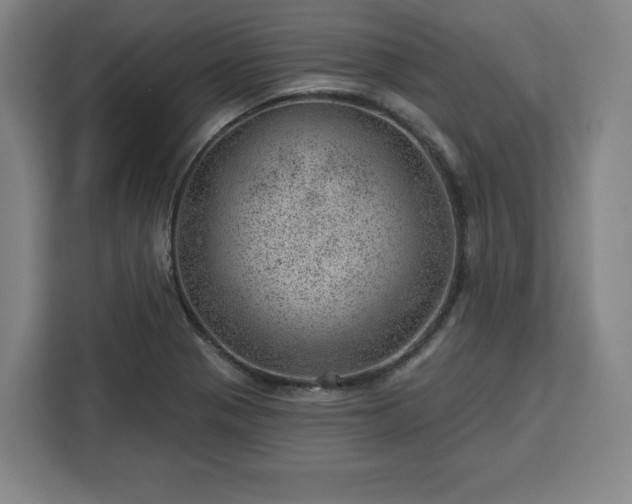 X0000112921321200908311249